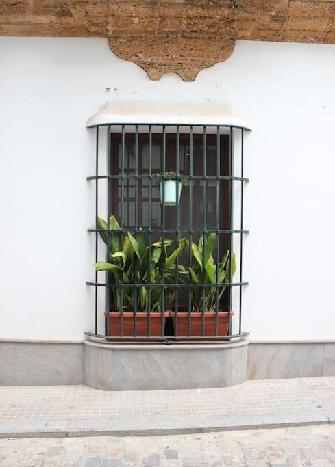 Apartment Fancy In A Historic House, Chiclana Center By C. Dreams Chiclana de la Frontera